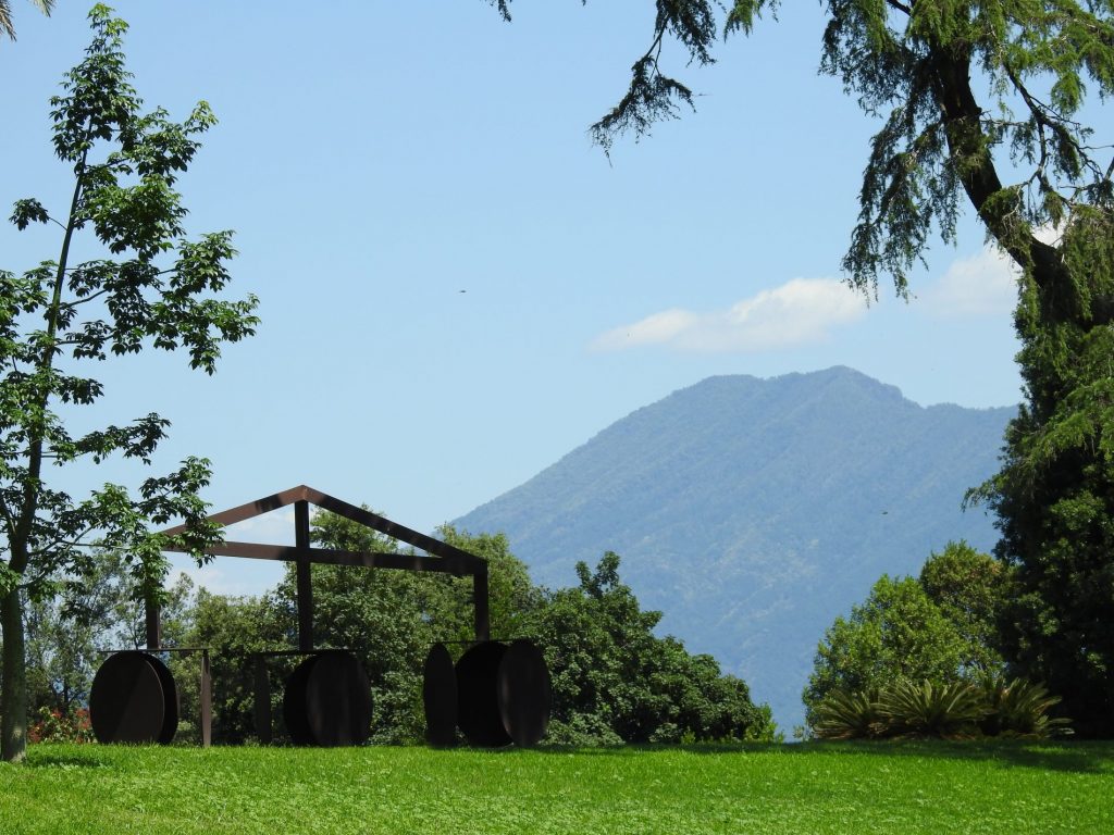 Alla scoperta del Parco di Capodimonte: un pezzo di Svizzera al centro di Napoli 15 napoli real bosco di capodimonte 7