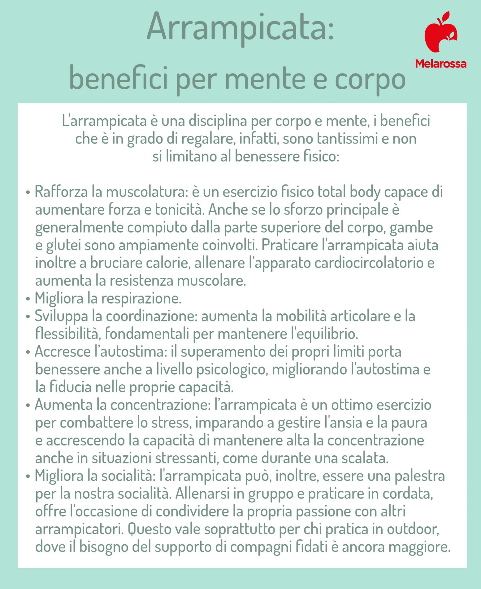 Arrampicata: che cos'è, tecnica e attrezzature, benefici per la mente e il fisico, dove praticare 1 arrampicata benefici