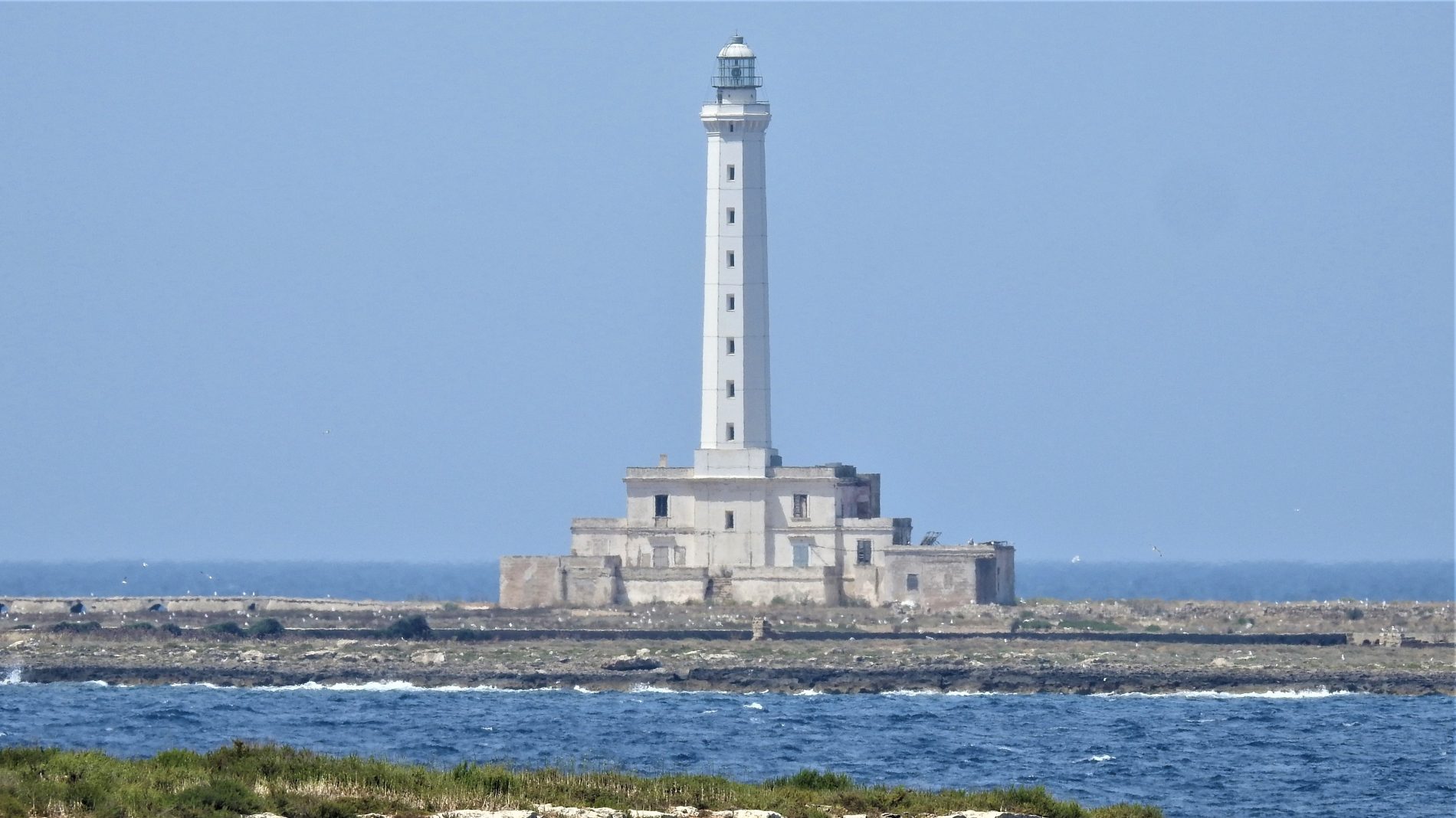 Alla scoperta di Gallipoli: le Mura e la famosa insenatura della Purità 6 gallipoli 3 2