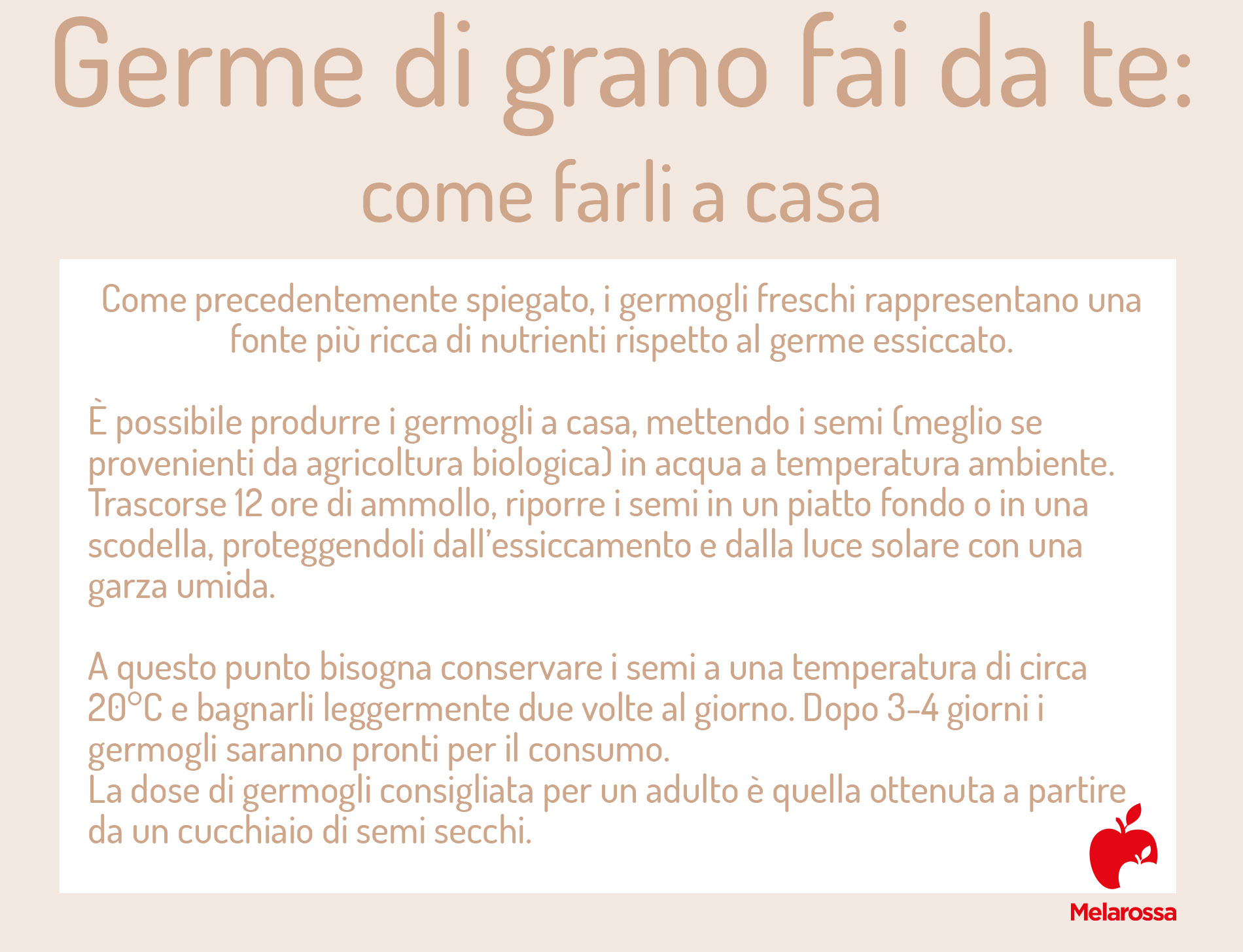 Germe di grano: che cos'è, proprietà e benefici, usi, ricette, controindicazioni 4 germe di grano fai-da-te: come farli in casa
