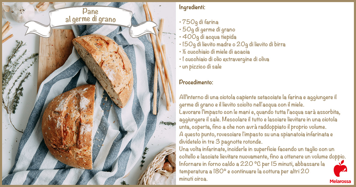 Germe di grano: che cos'è, proprietà e benefici, usi, ricette, controindicazioni 5 come preparare il pane con il germe di grano