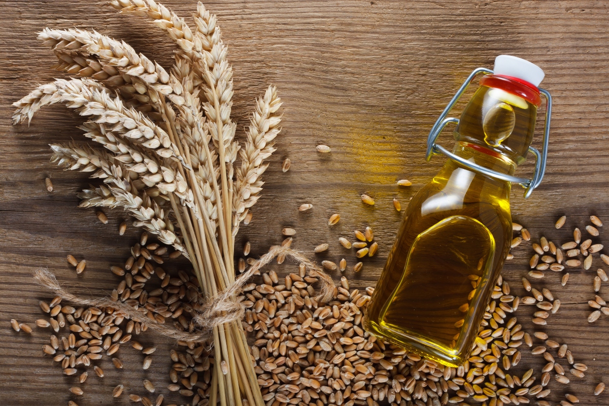 Germe di grano: che cos'è, proprietà e benefici, usi, ricette, controindicazioni 6 germe di grano: proprietà nutrizionali