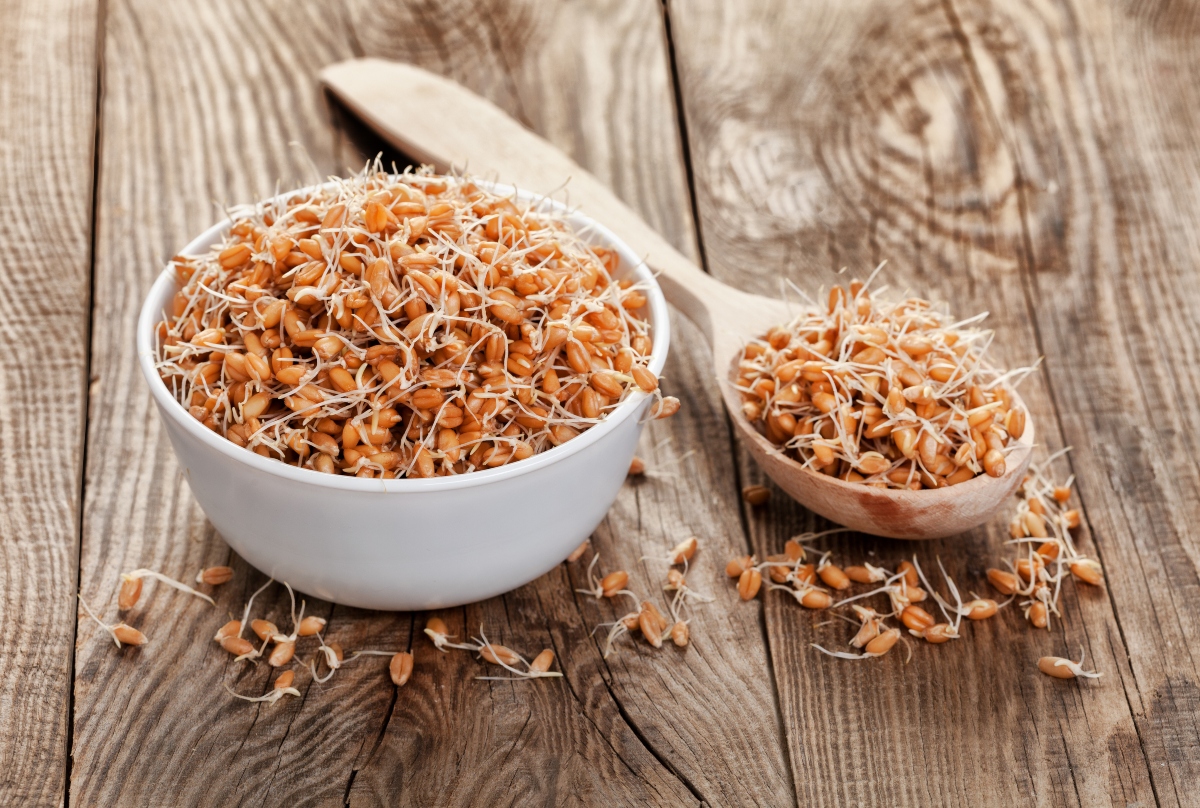 Germe di grano: che cos'è, proprietà e benefici, usi, ricette, controindicazioni 2 germogli di grano