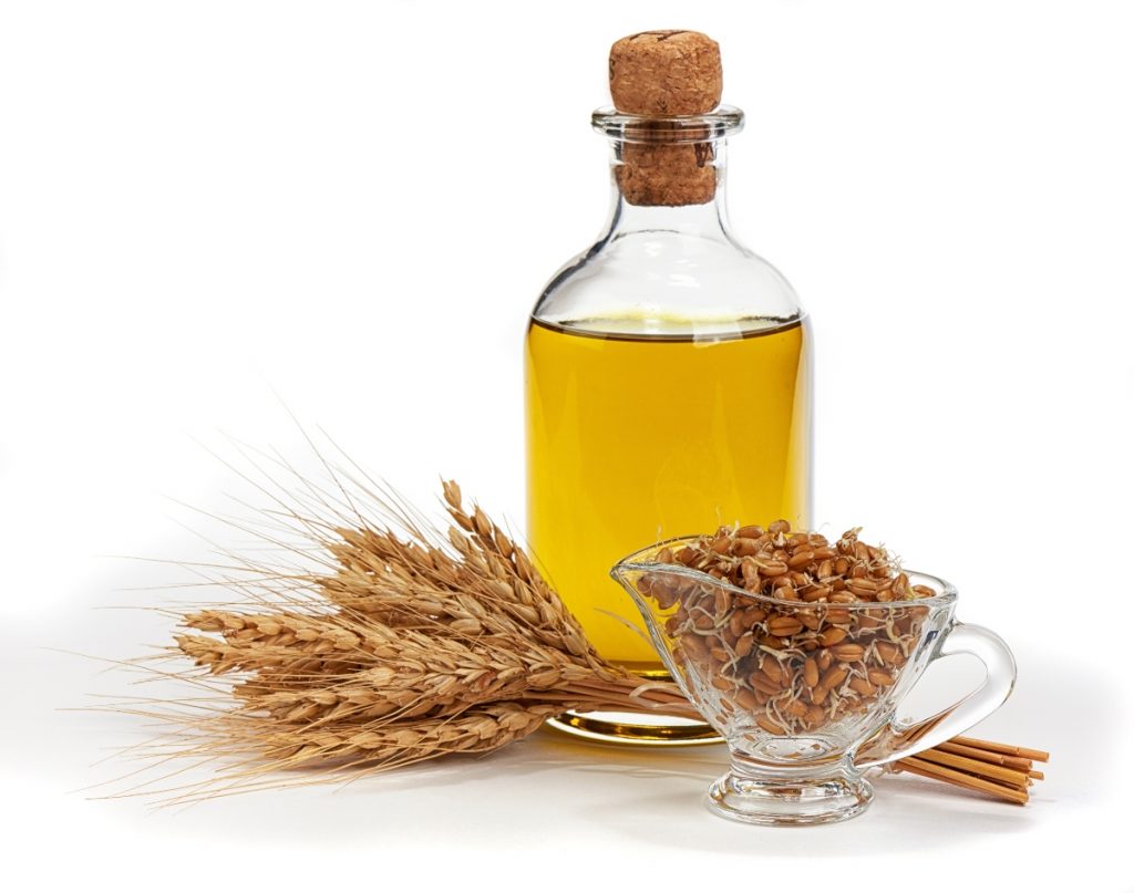 Germe di grano: che cos'è, proprietà e benefici, usi, ricette, controindicazioni 1 olio di germe di grano