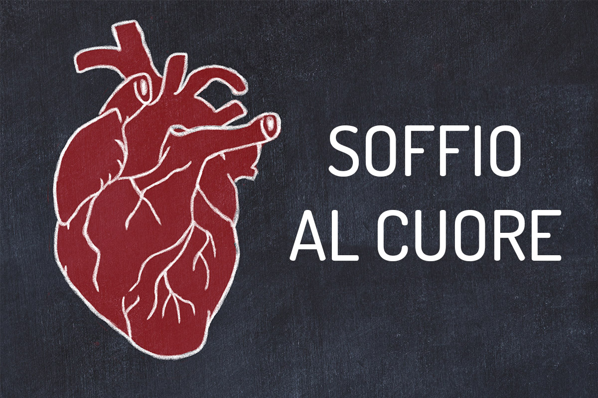 Soffio al cuore: che cos'è, sintomi, cause, rischi e trattamenti 1 soffio al cuore: che cos'è