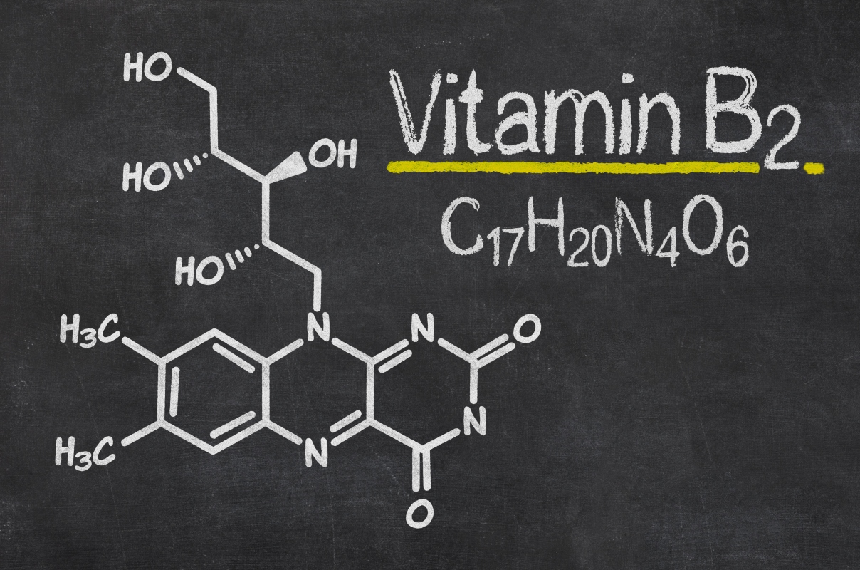 Vitamina B2 o riboflavina: che cos'è, proprietà, a cosa serve e dove si trova 1 Vitamina B2: a cosa serve