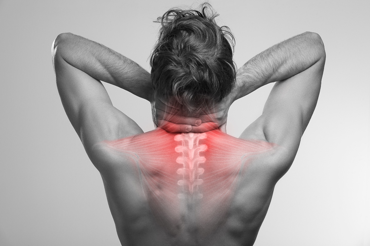 Cervicale: cause, sintomi e esercizi da fare a casa per prevenire il dolore 1 cervicale: anatomia