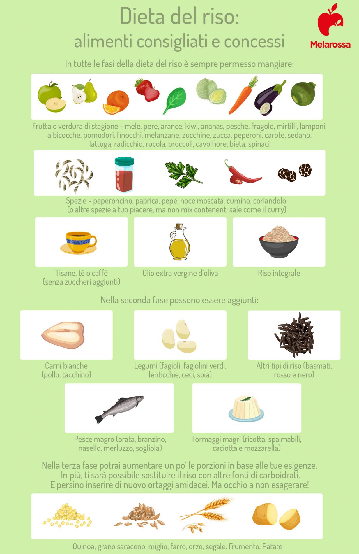 Dieta del riso: che cos'è, come funziona, schema e fasi, cosa mangiare, esempio di menù settimanale, controindicazioni 3 dieta del riso: alimenti concessi