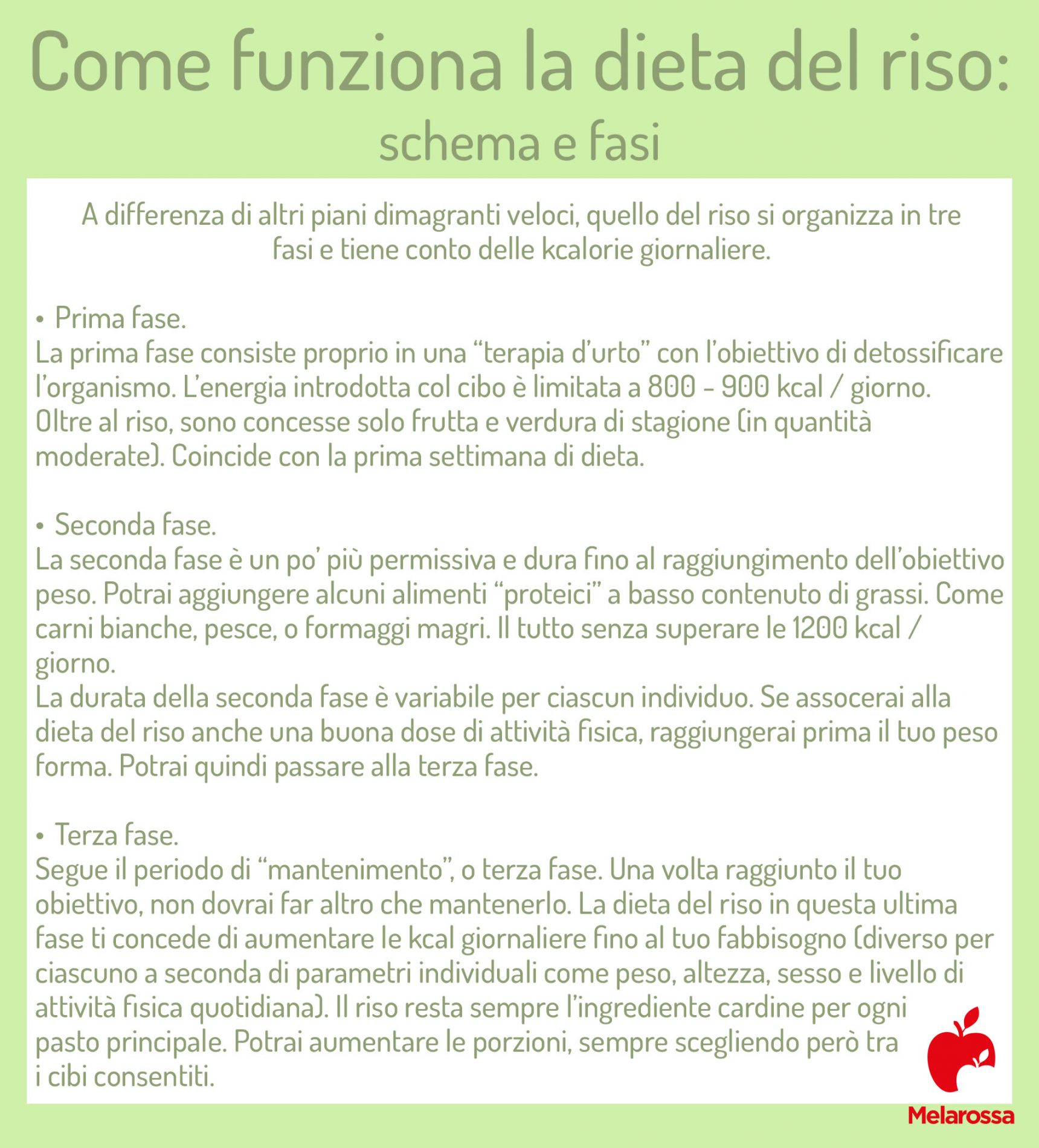 Dieta del riso: che cos'è, come funziona, schema e fasi, cosa mangiare, esempio di menù settimanale, controindicazioni 2 dieta delirio come funziona