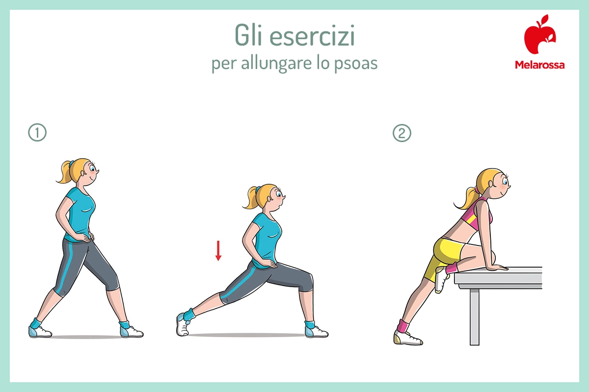 Psoas: che cos'è, funzioni, sintomi di rigidità e come rilassare e allungare il muscolo dell'anima 2 esercizi per allungare lo psoas
