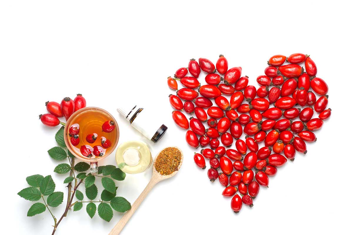 Olio di rosa mosqueta: che cos'è, proprietà, benefici, usi cosmetici e controindicazioni 1 olio di rosa mosqueta: proprietà