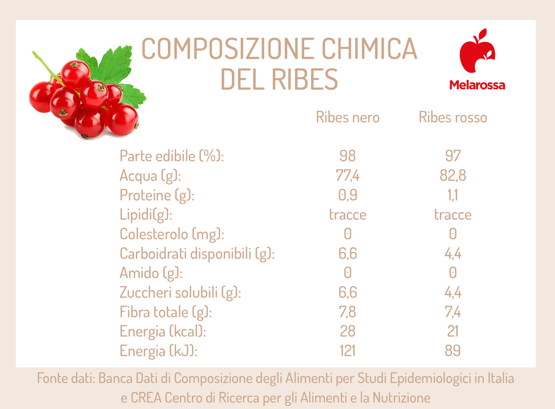 Ribes: cosa sono, valori nutrizionali, benefici per la salute e ricette 1 ribes: composizione chimica