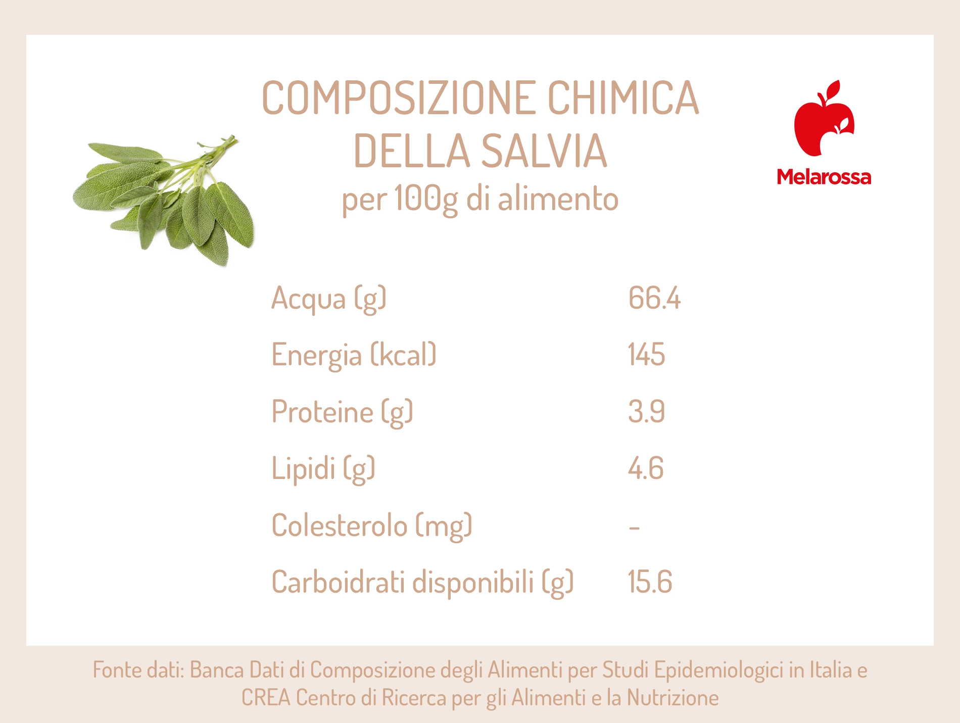 Salvia: proprietà, usi erboristici e ricette 1 grafica sui valori nutrizionali della salvia