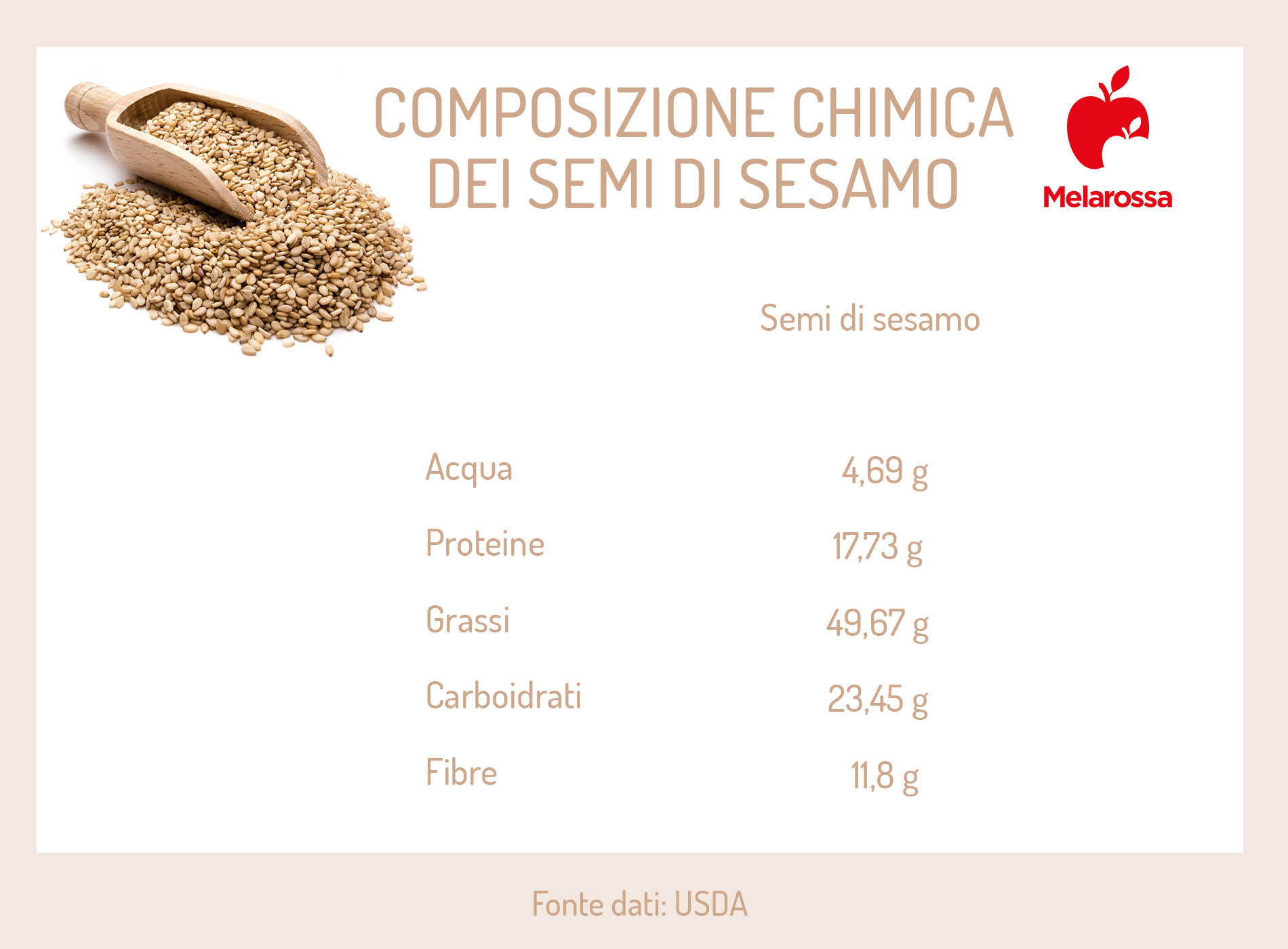 Semi di sesamo: cosa sono, valori nutrizionali, benefici, usi in cucina, le migliori ricette, controindicazioni 1 semi di sesamo: composizione chimica