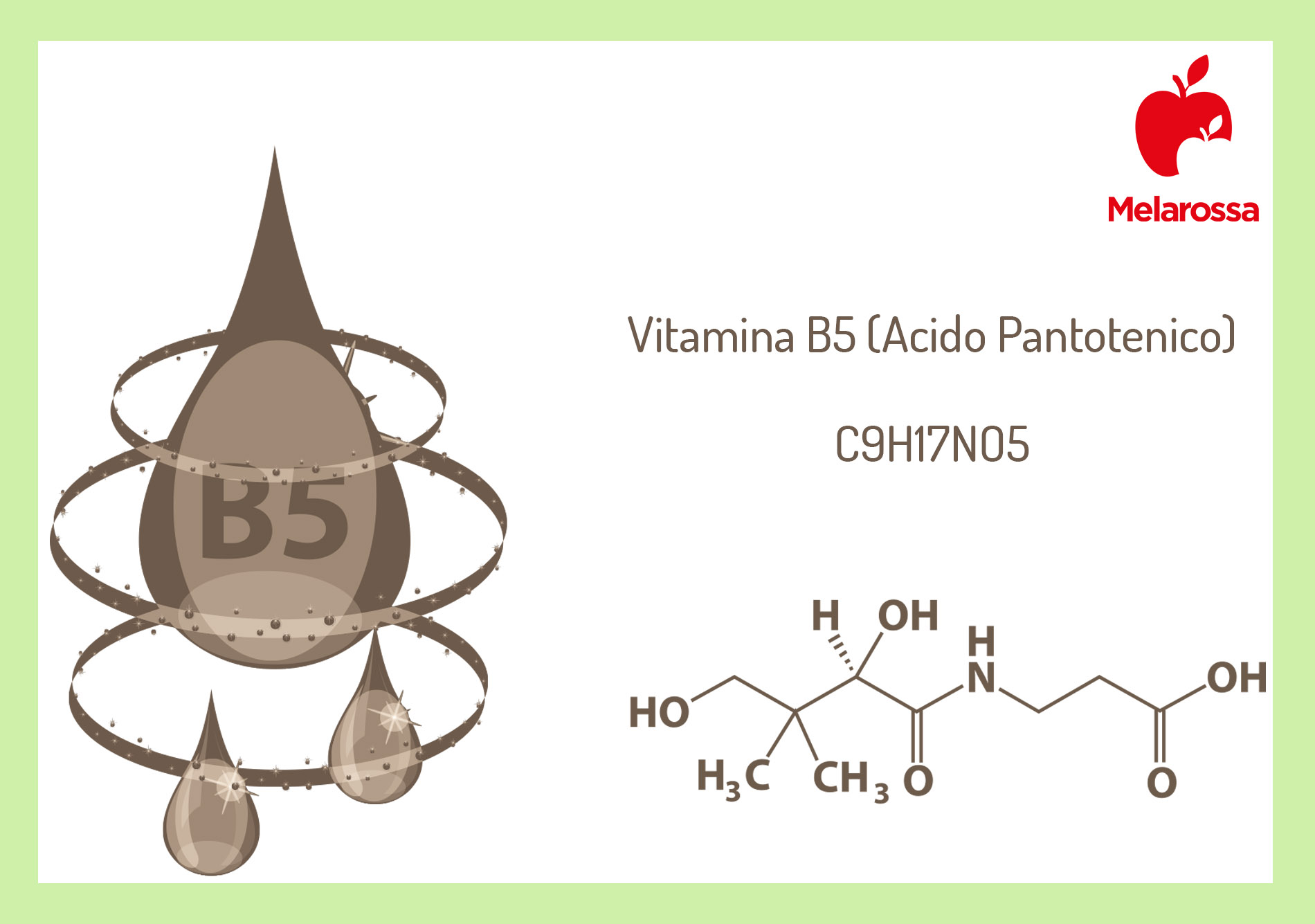 Vitamina B5 o acido pantotenico: che cos'è, proprietà, benefici e alimenti ricchi 1 vitamina B5: che cos'è