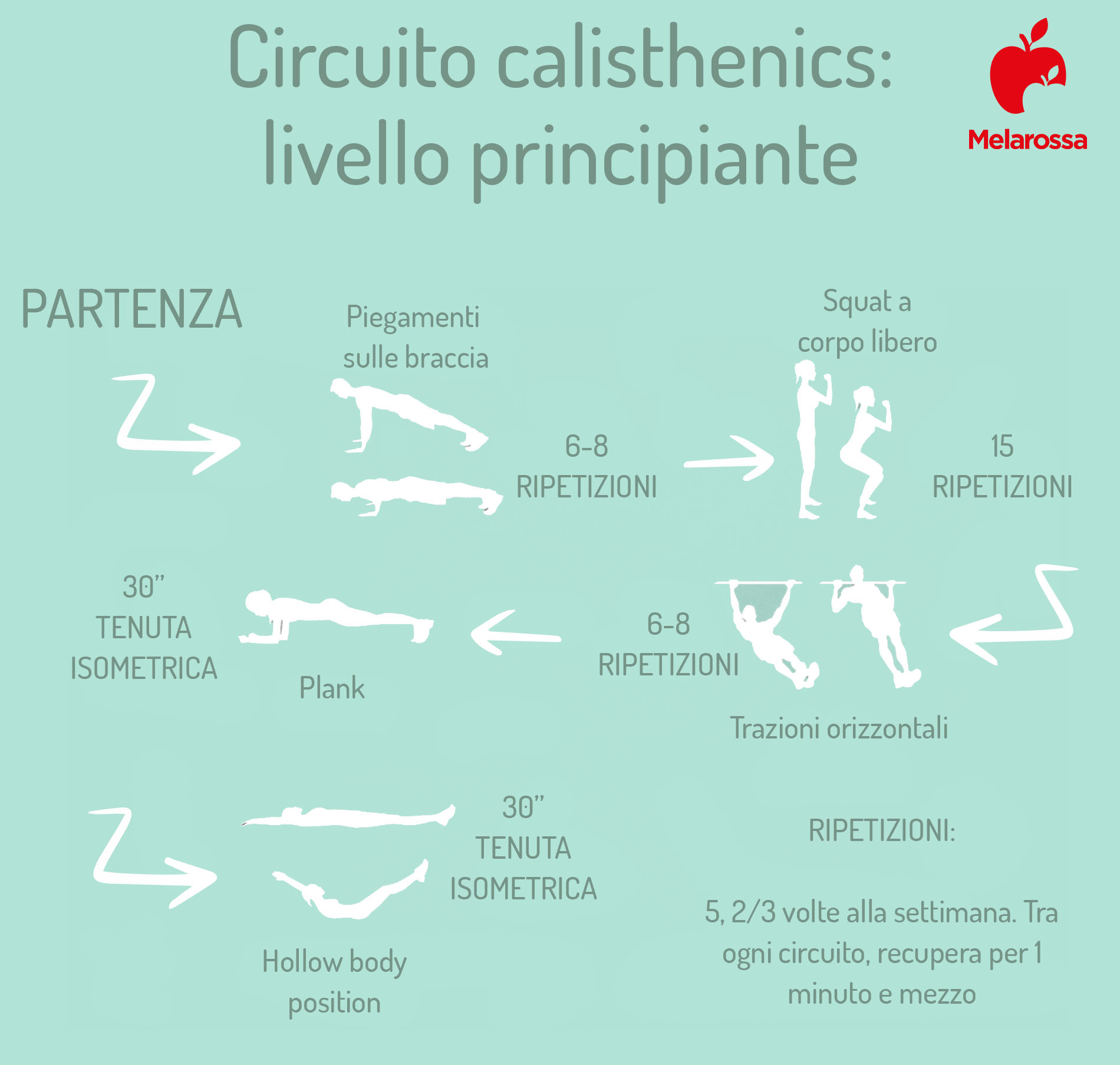 Calisthenics: che cos'è, benefici, esercizi e esempi di allenamento per principianti, intermedi e avanzati 1 grafica con i migliori esercizi per principianti e una scheda di allenamento per principianti