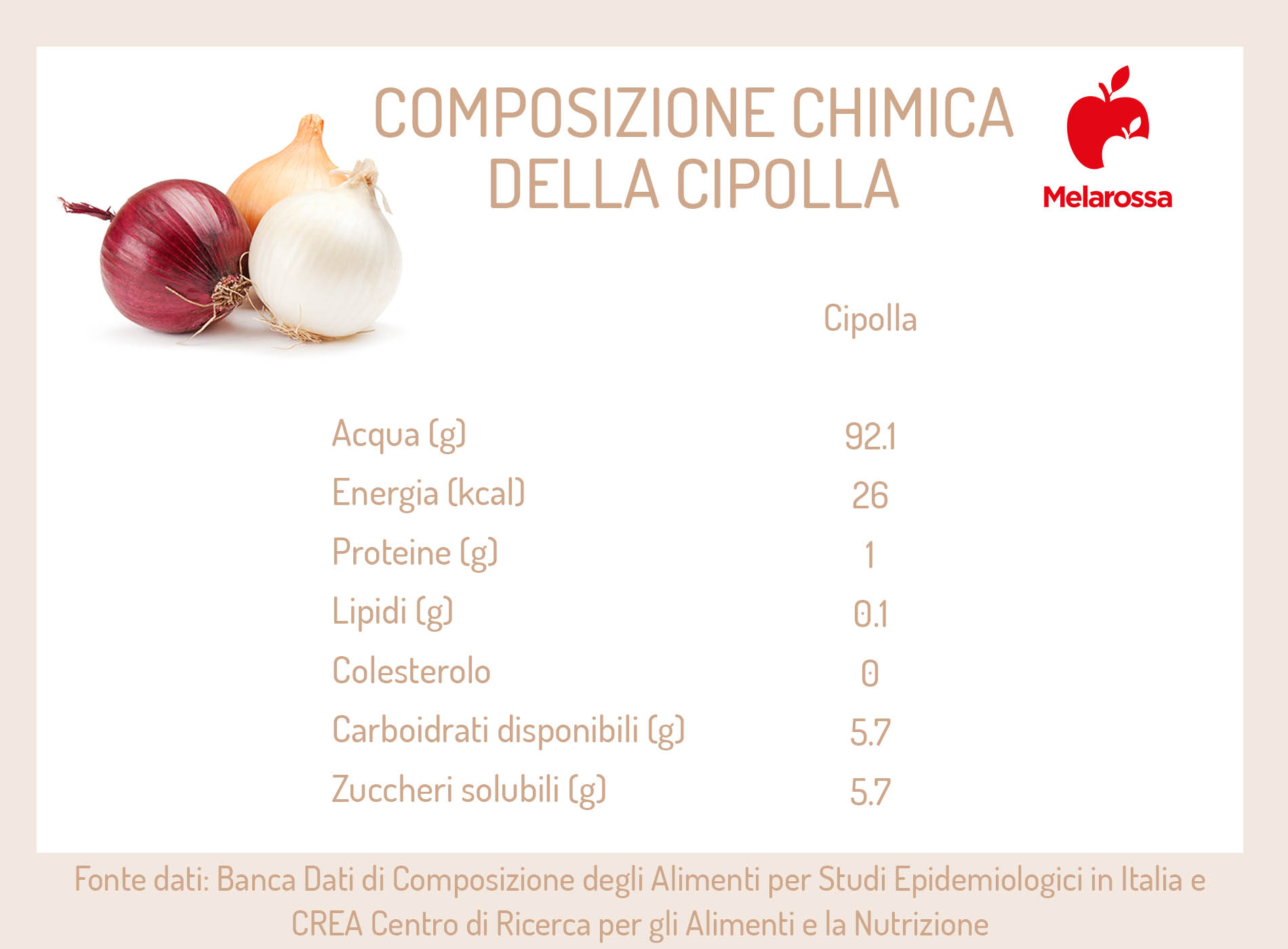 Cipolla: che cos'è, proprietà e benefici, usi in cucina, le migliori ricette, varietà 1 grafica sulla composizione chimica della cipolla