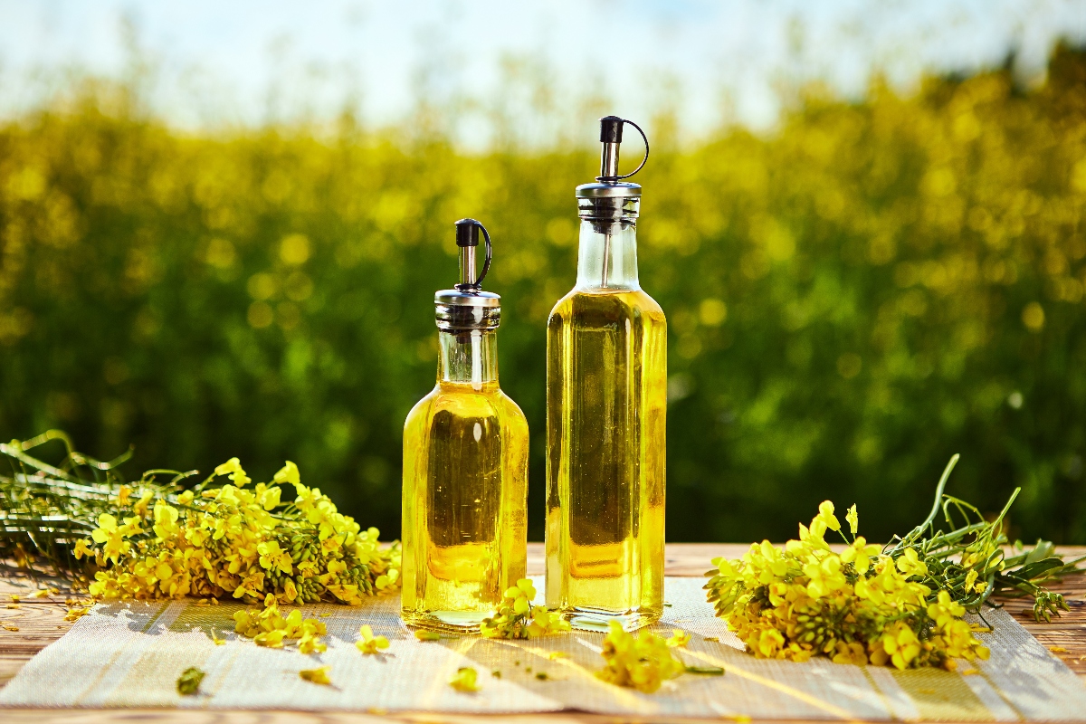 Olio di colza: che cos'è, cosa contiene, usi alimentari, benefici e proprietà, fa male o bene alla salute? 7 olio di colza negli alimenti