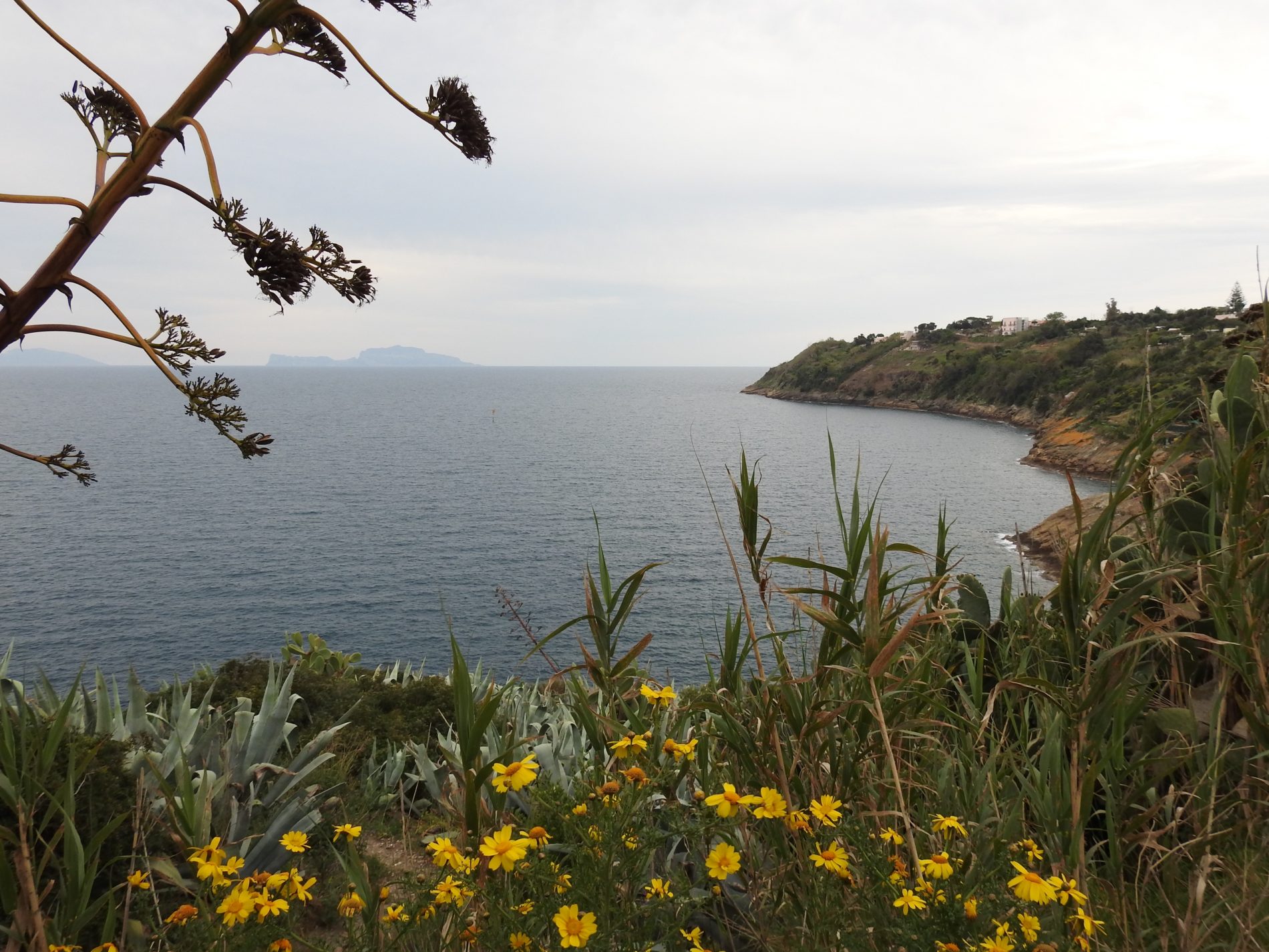 Alla scoperta di Procida: tra Elsa Morante e Massimo Troisi 7 procida 2 12