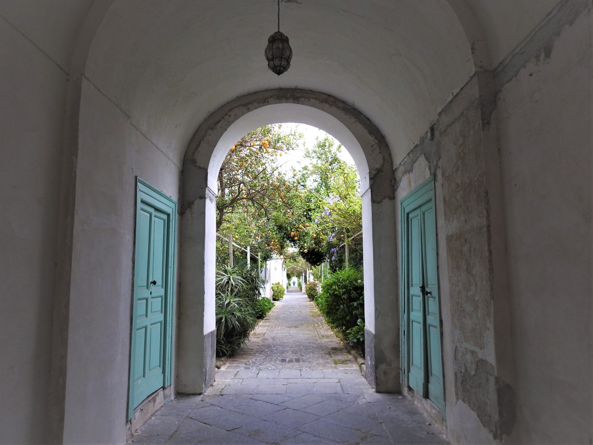 Alla scoperta di Procida: tra Elsa Morante e Massimo Troisi 4 procida 2 limonaia 1