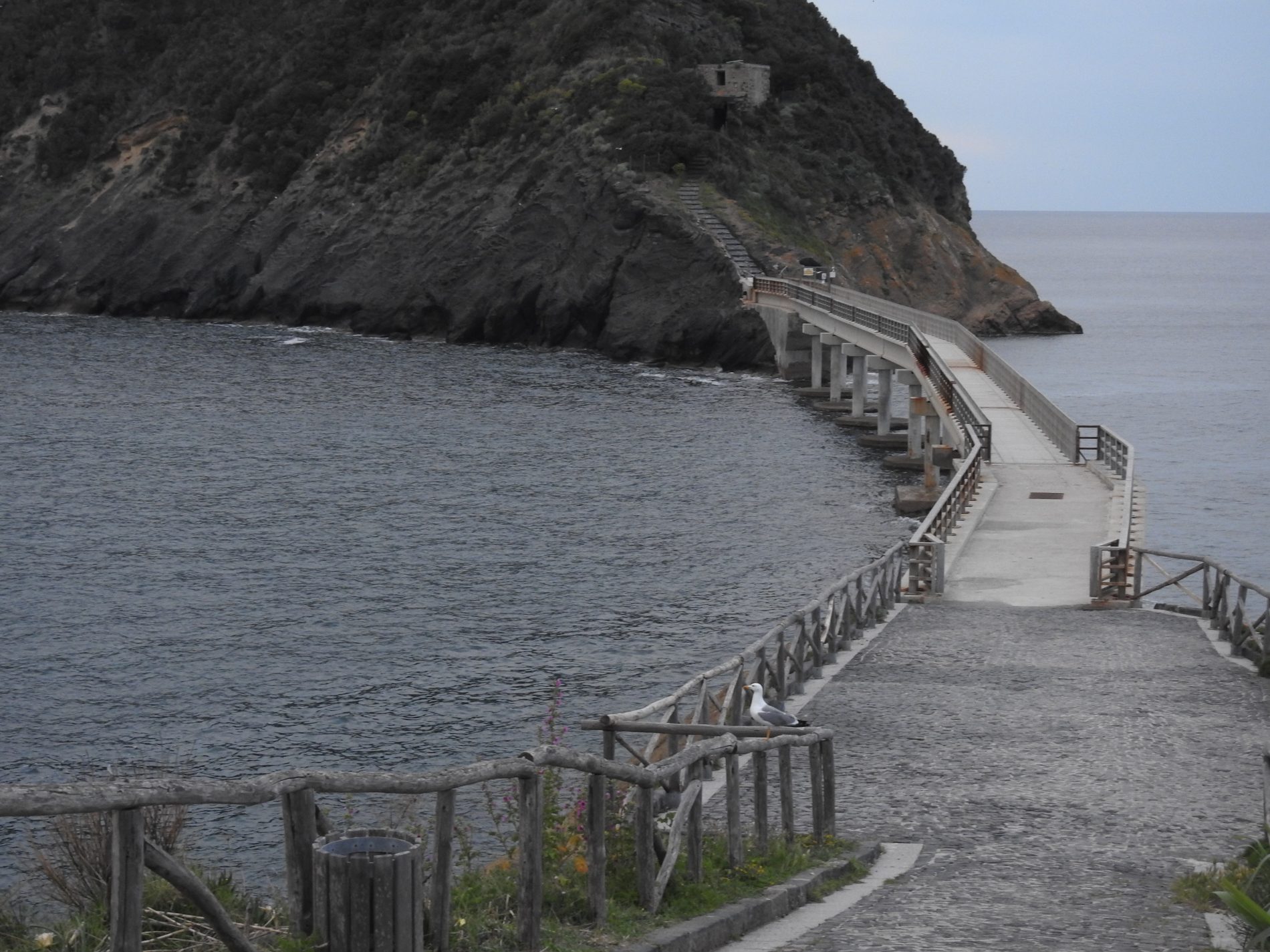 Alla scoperta di Procida: tra Elsa Morante e Massimo Troisi 3 procida 2 vivara 2