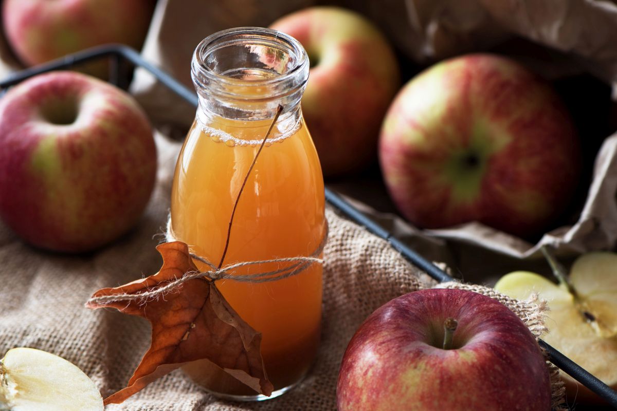 Sidro di mele, la bevanda fermentata da preparare in casa 4 sidro di mele nelle diete e nei menù