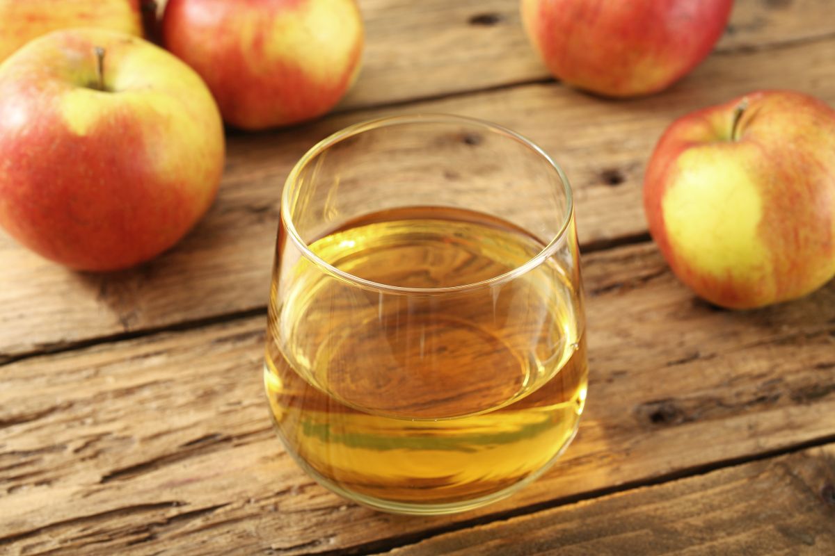 Sidro di mele, la bevanda fermentata da preparare in casa 3 sidro di mele quali strumenti usare