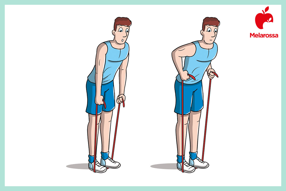 Workout a casa: schede di allenamento complete con e senza attrezzi 10 rematore con elastico: workout a casa