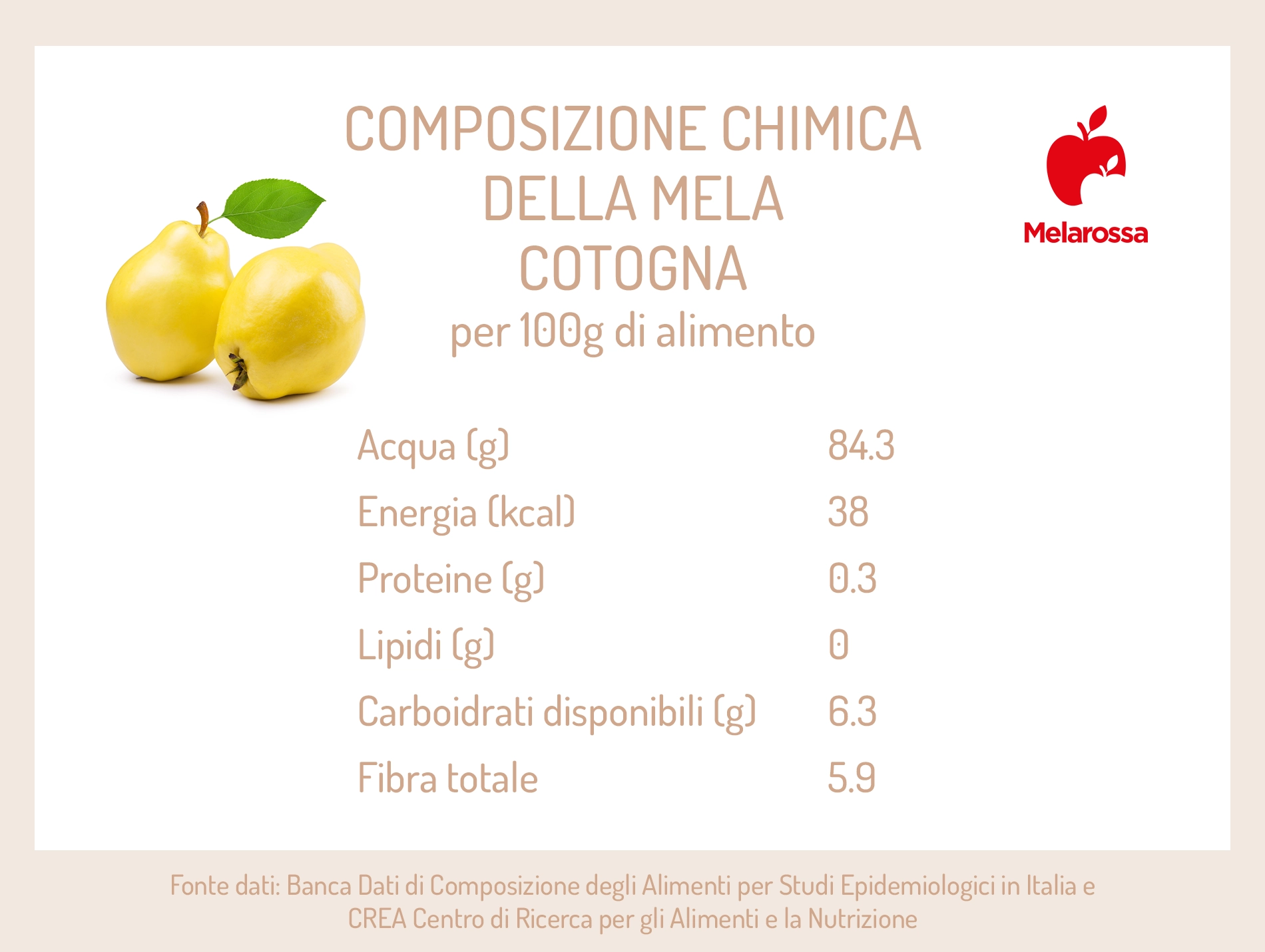 Mela cotogna: proprietà, calorie e ricette 1 grafica sui valori nutrizionali della mela cotogna