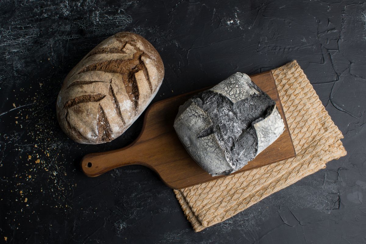 Pane al carbone, la ricetta del pane che aiuta la digestione 6 pane al carbone consigli su come farlo