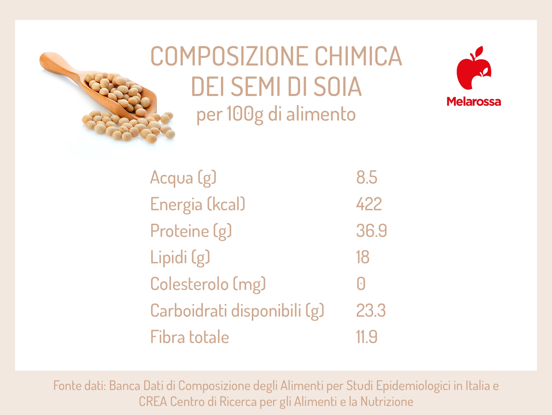 Soia: benefici del legume superfood e come cucinarlo 2 soia: composizione