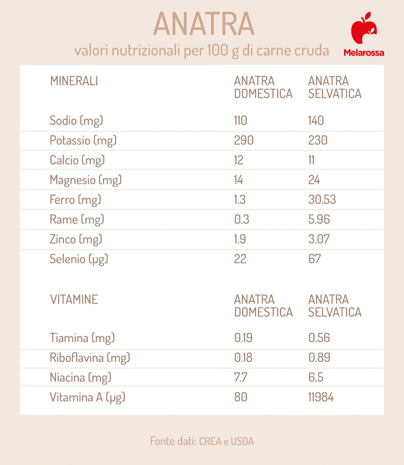 Anatra: che cos'è, valori nutrizionali della carne, benefici e ricette 2 anatra valori nutrizionali