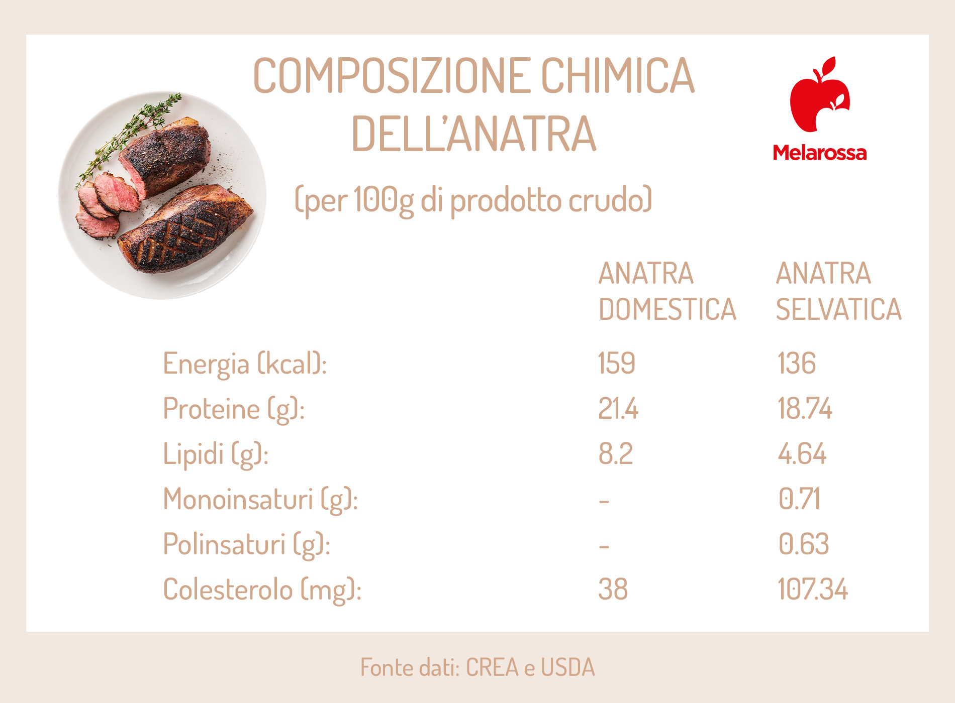 Anatra: che cos'è, valori nutrizionali della carne, benefici e ricette 1 composizione chimica dell'anatra