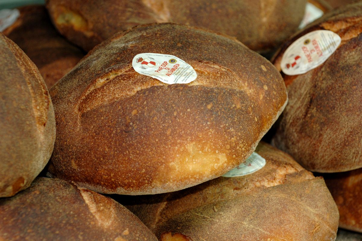 Pane di Altamura, prepara in casa il capolavoro della cucina pugliese 4 Pane di Altamura DOP