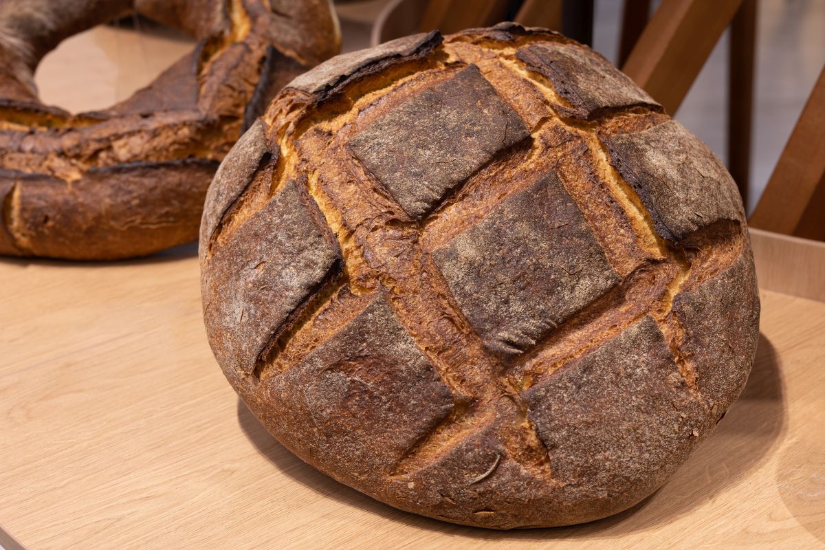 Pane di Altamura, prepara in casa il capolavoro della cucina pugliese 2 ricetta pane di Altamura