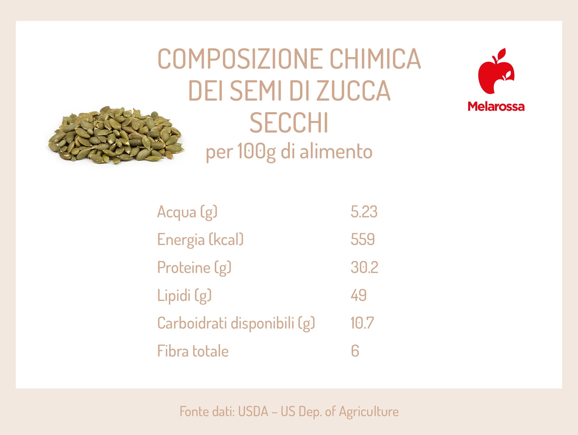 Semi di zucca: cosa sono, proprietà, benefici, calorie e usi in cucina 1 semi di zucca: composizione