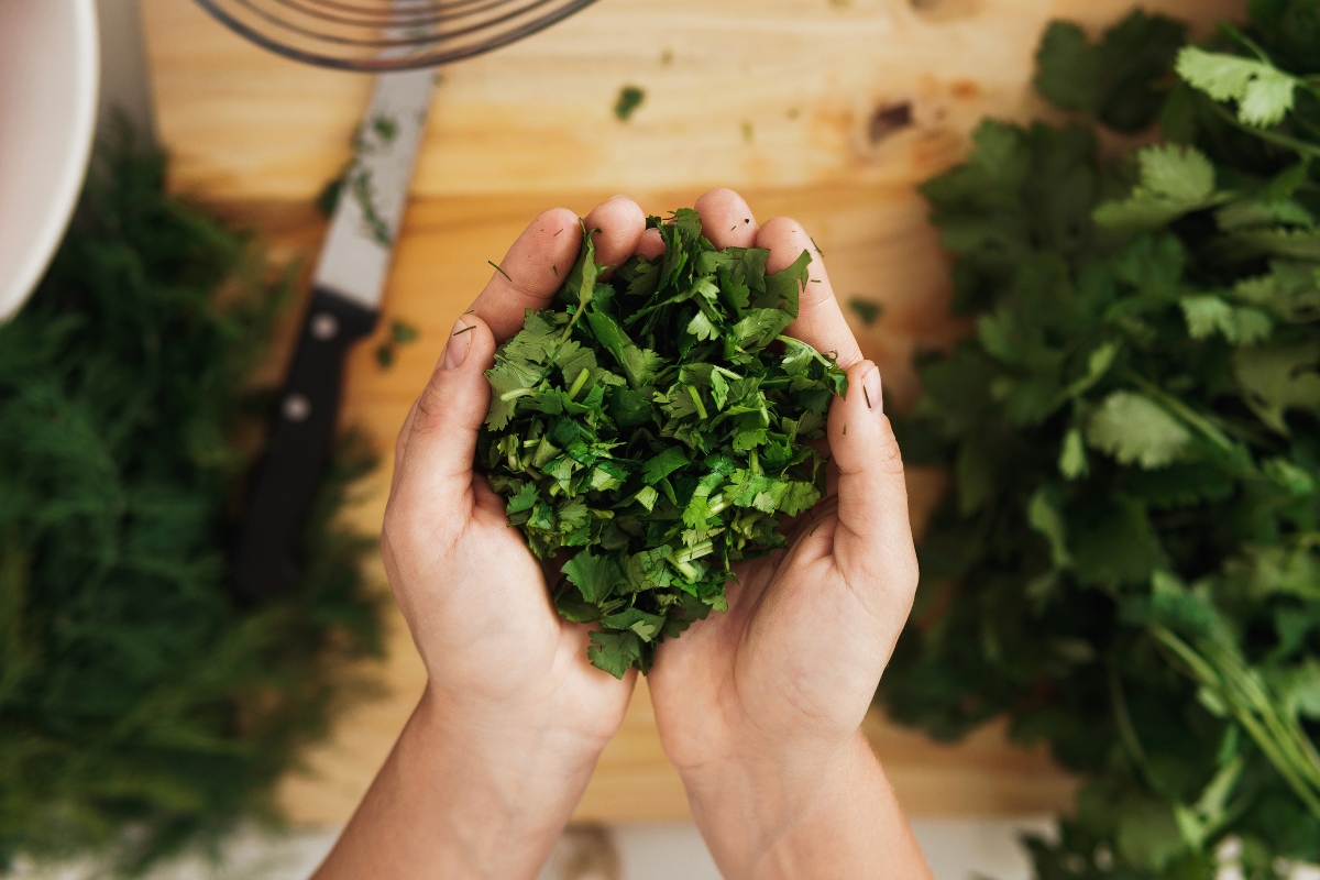 Come sostituire il sale: alternative sane e sostituti del sale da cucina 8 coriandolo per sostituire il sale