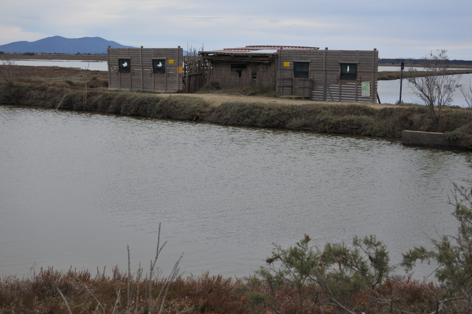 Alla scoperta della Maremma, le meraviglie della riserva naturale Diaccia Botrona 5 Diaccia Botrona