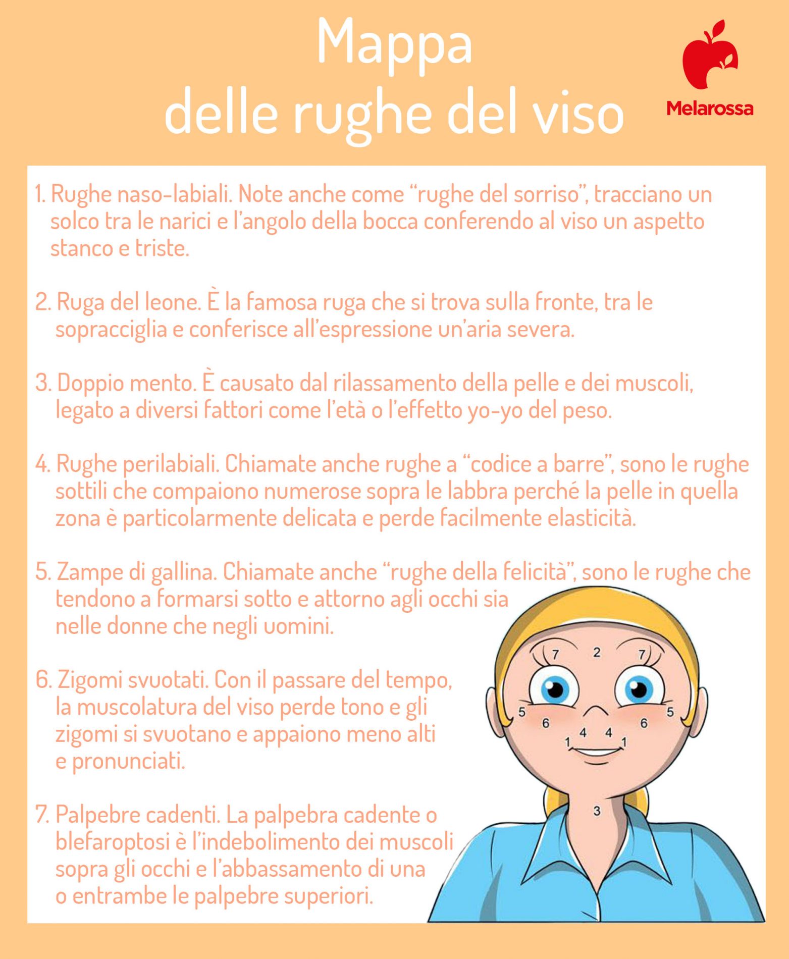 Ginnastica facciale: come farla e esercizi illustrati per combattere le rughe del viso e collo 1 grafica con elenco delle rughe del viso: collo e viso per fra capire quanto è importante la ginnastica facciale per prevenire le rughe
