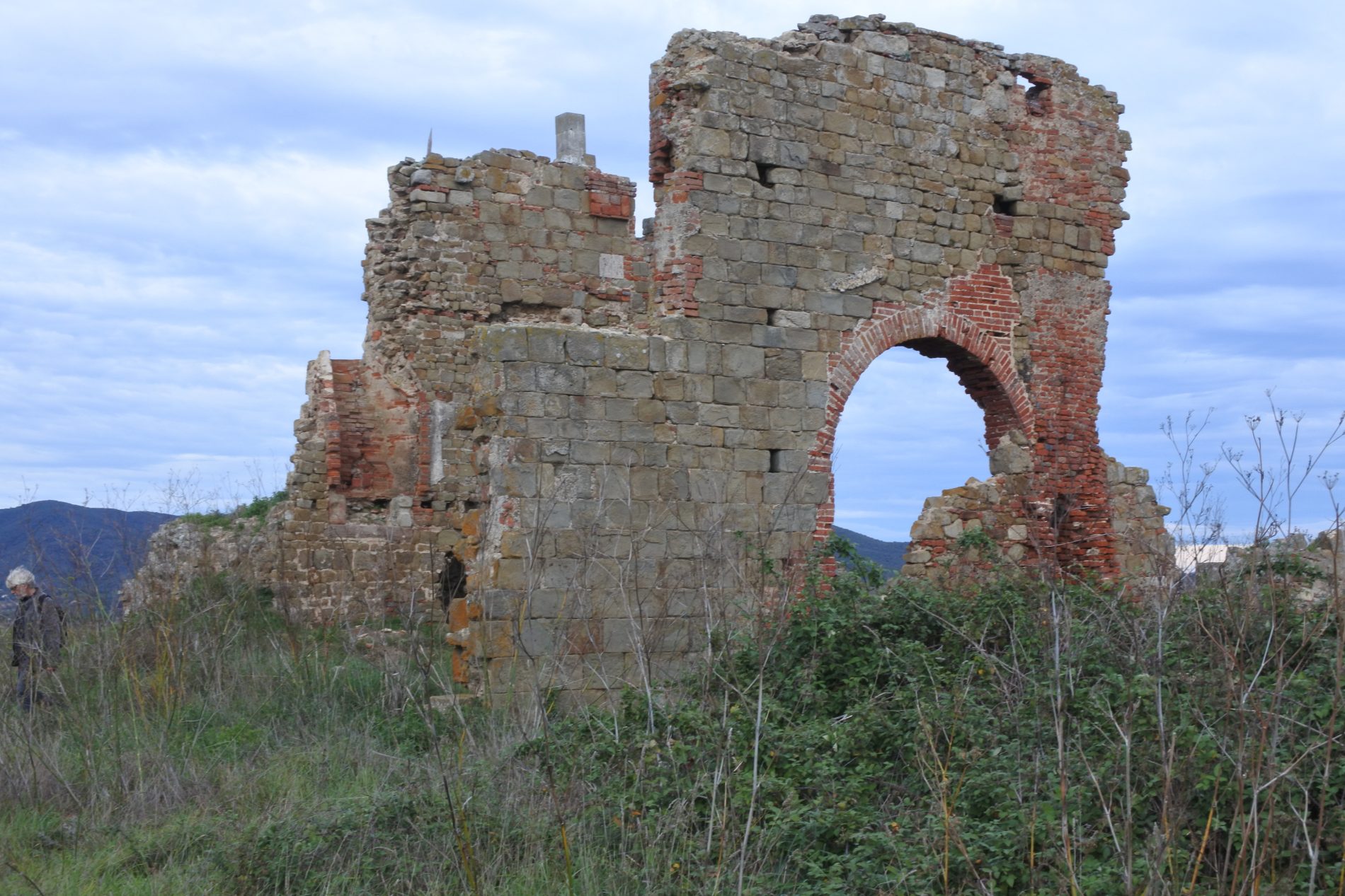 Alla scoperta della Maremma, le meraviglie della riserva naturale Diaccia Botrona 9 resti romani Abbazia di San Pancrazio