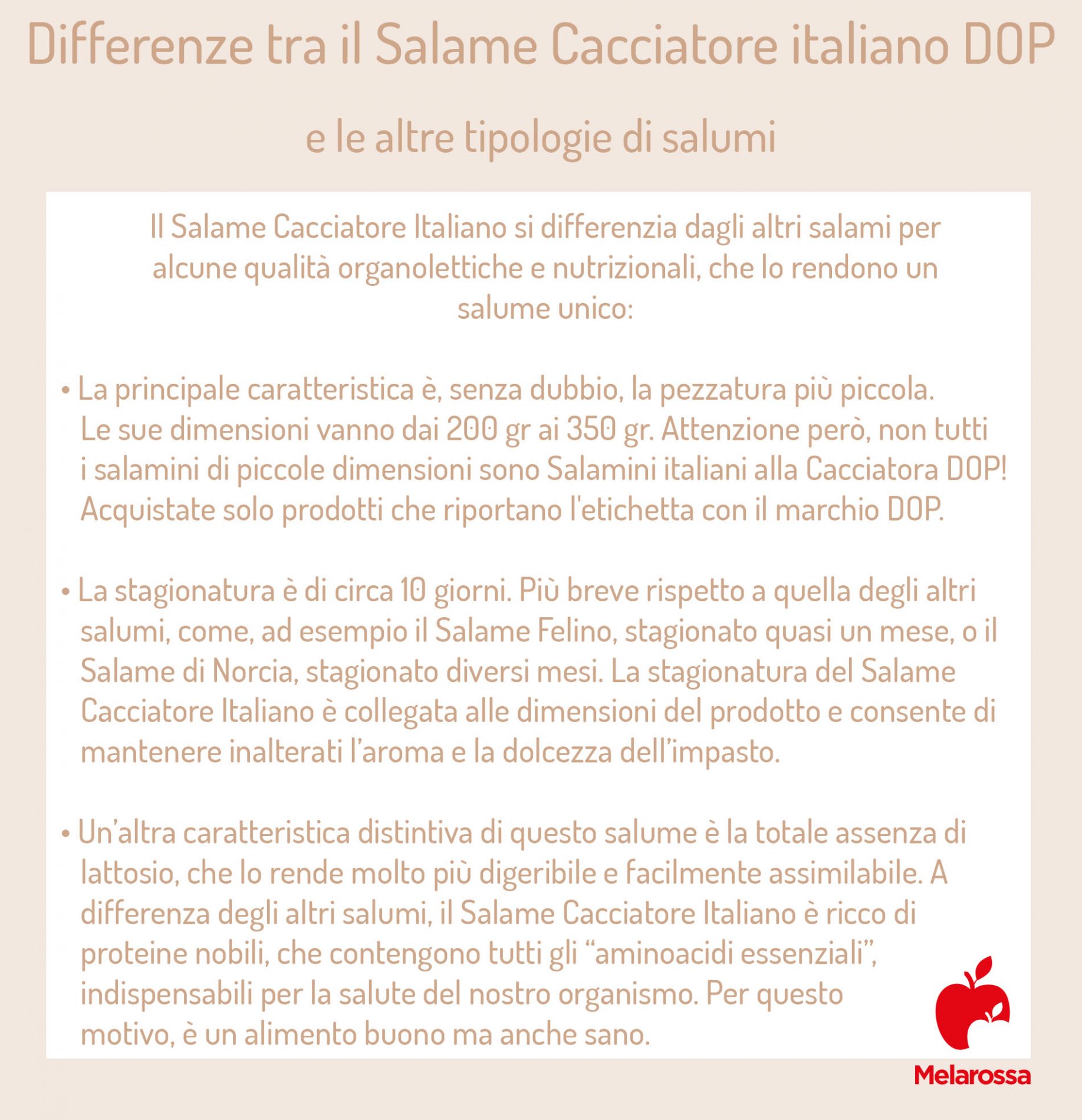 Salame Cacciatore Italiano: cos’è, proprietà nutrizionali, ricette e abbinamenti 2 salame cacciatore Italiano: differenze