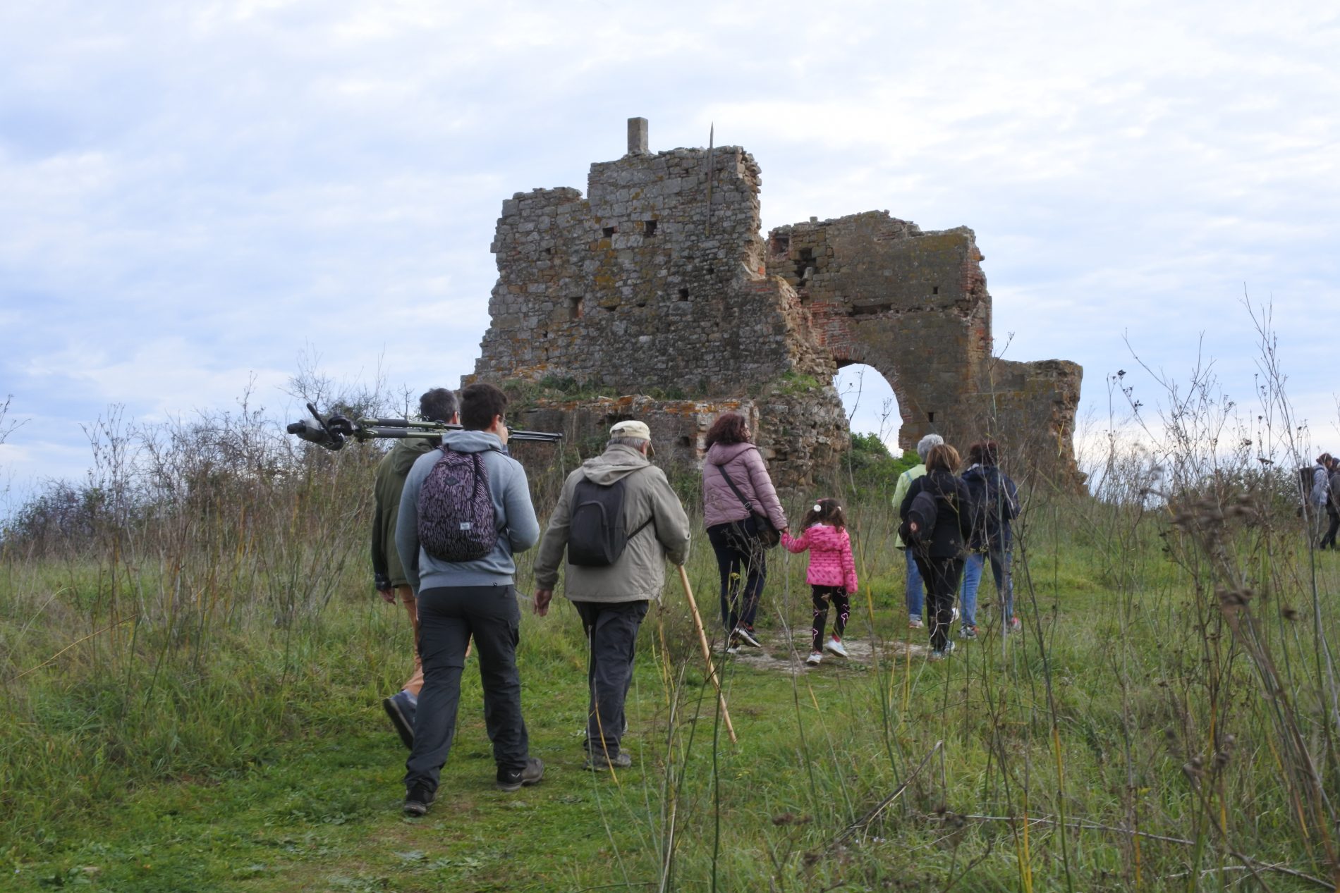 Alla scoperta della Maremma, le meraviglie della riserva naturale Diaccia Botrona 10 visita la Maremma