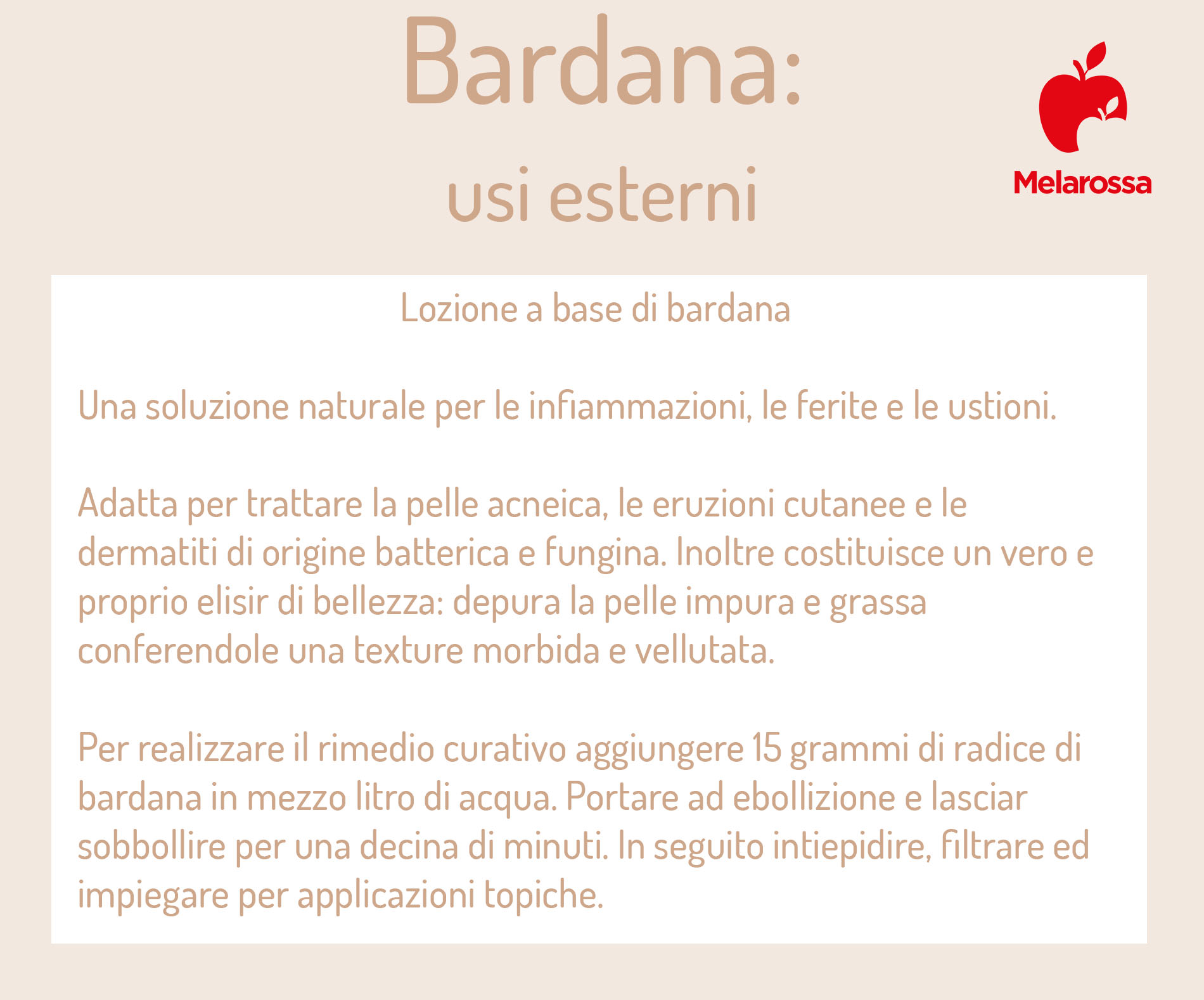 Bardana: che cos'è, proprietà, benefici, usi, posologia e controindicazioni della pianta 5 bardana: usi esterni