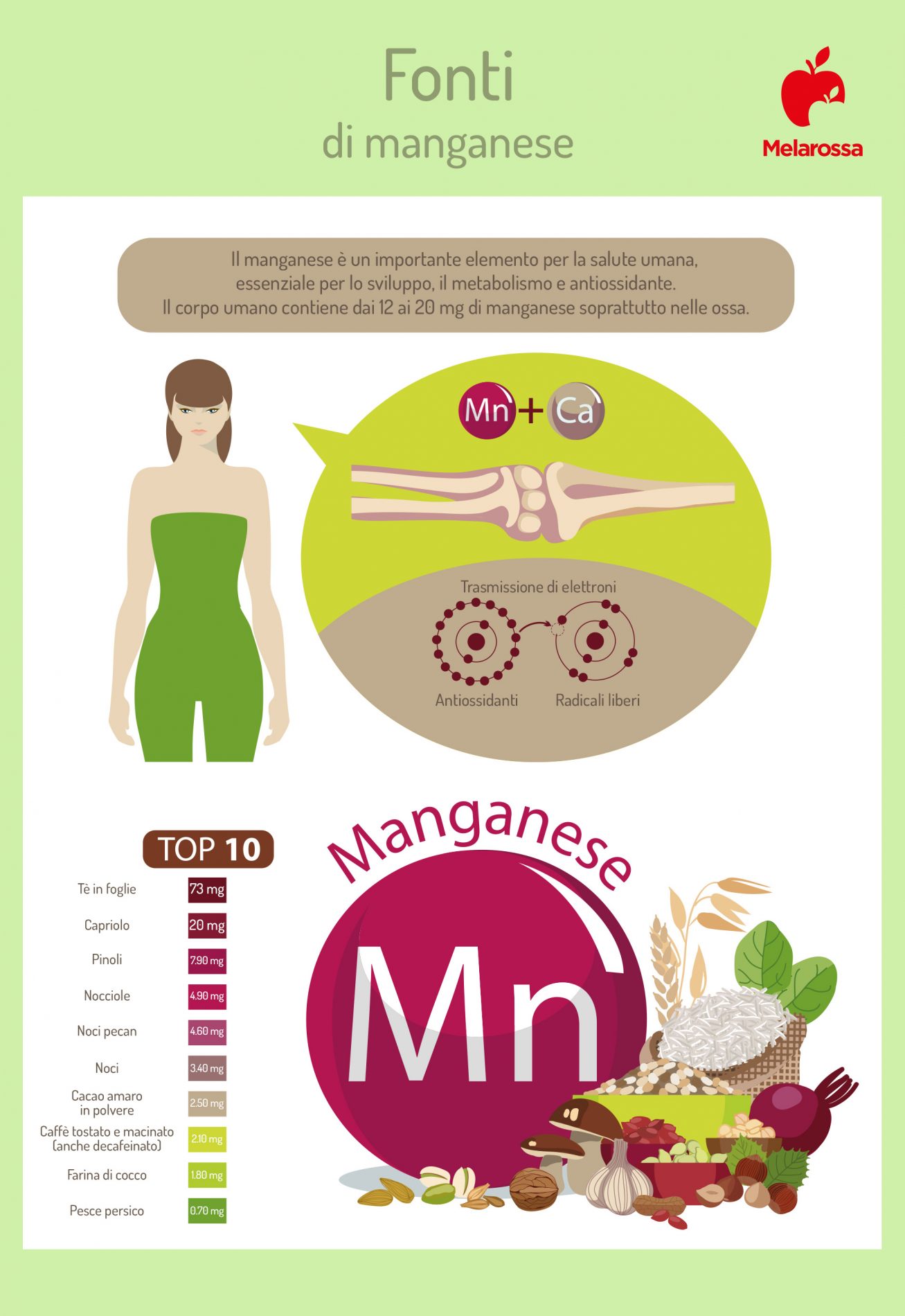 Manganese: cos’è, a cosa serve, fabbisogno, alimenti più ricchi 1 Manganese: cos'è e a cosa serve