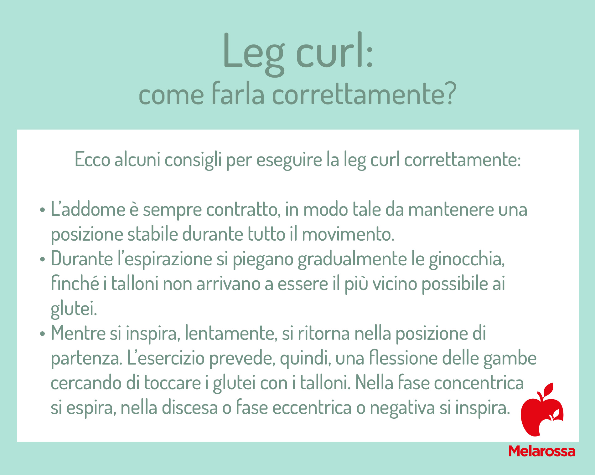 Leg curl: che cos'è, tecnica, varianti, benefici, muscoli coinvolti ed errori da evitare 1 leg curl come farla correttamente