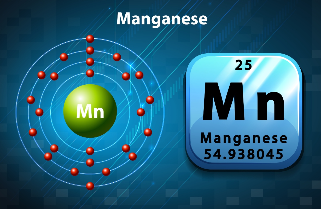 Manganese: cos’è, a cosa serve, fabbisogno, alimenti più ricchi 2 manganese: a cosa serve