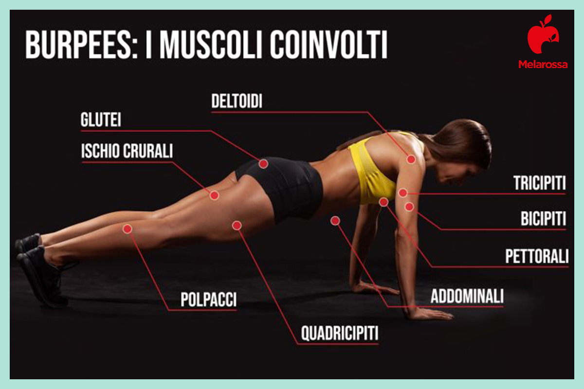Burpees: cosa sono, tecnica, benefici e programmi di allenamento per bruciare grassi 1 burpees: muscoli coinvolti