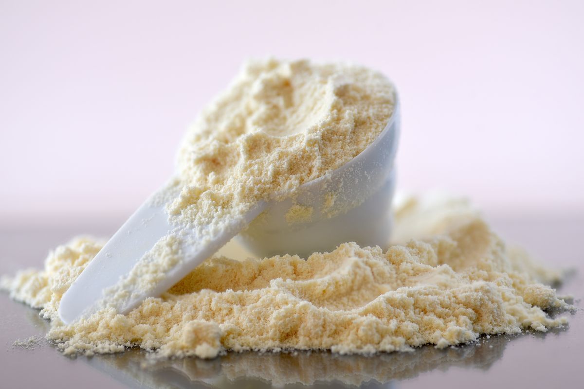 Colostro: cos’è e perché è considerato un integratore naturale per le difese immunitarie 1 colostro in polvere