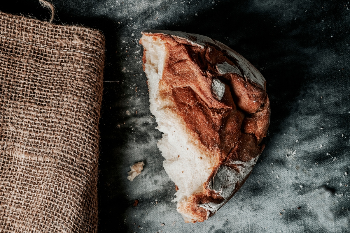 Kamut: che cos'è, proprietà, benefici, come cuocere i chicchi, ricette e usi in cucina del grano Khorasan 3 farina di kamut