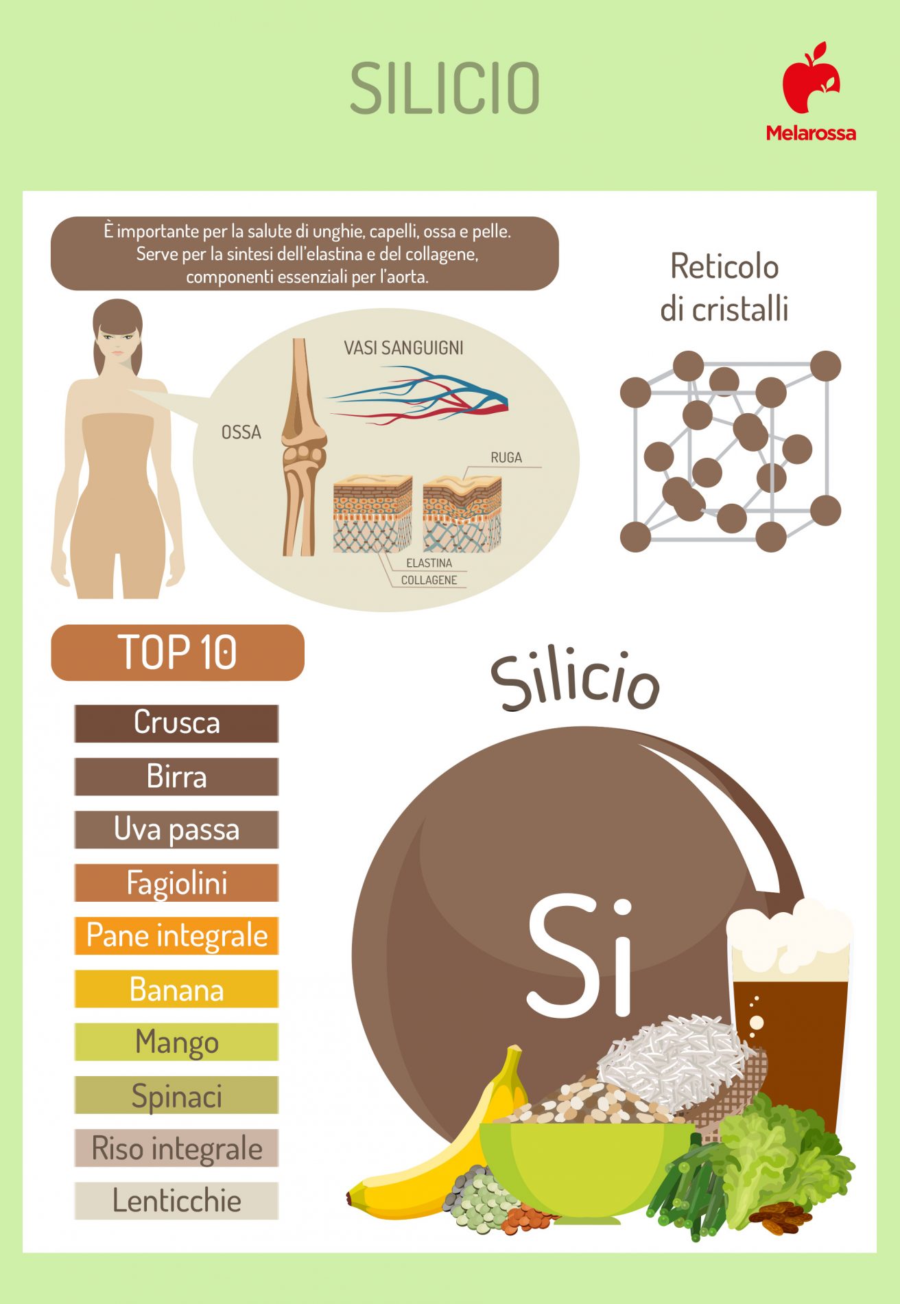 Silicio: cos'è, a cosa serve, fabbisogno, alimenti ricchi di silicio 4 silicio: dove si trova